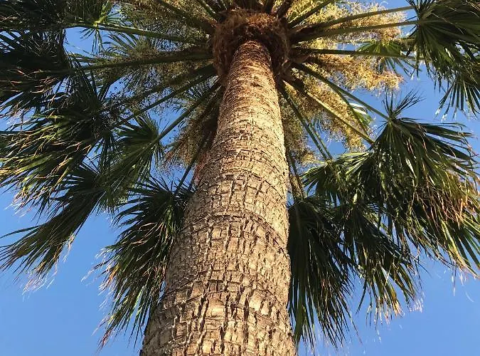 Casa Maria 64 Dom wakacyjny